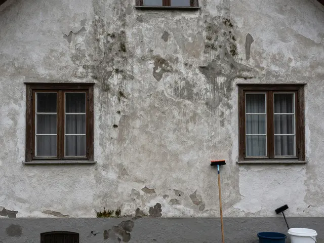 Putzfassade reinigen und streichen: Schritt-für-Schritt-Anleitung & Materialratgeber